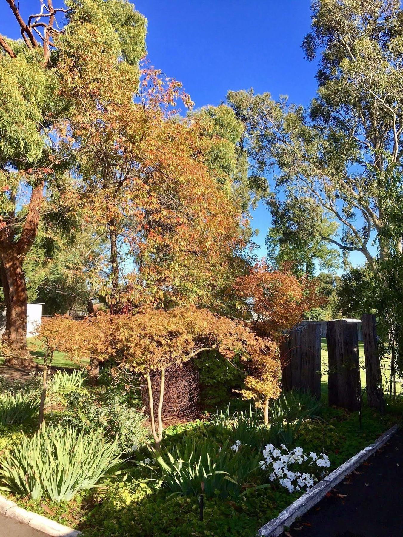 Manjimup Kingsley Motel エクステリア 写真